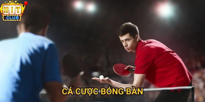 Luật Cược Bóng Bàn: Quy Tắc Trên Bàn Cược Hitclub – 2025